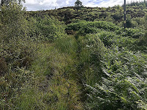 Kinlochard 5 lochs. Heading up hill