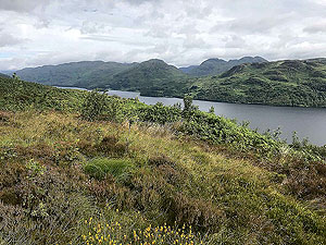 Kinlochard 5 lochs. Looking up the loch