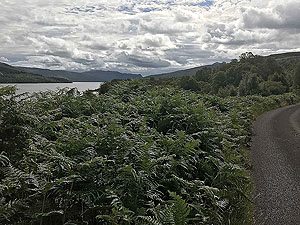 Kinlochard 5 lochs. Leads from the Royal cottage