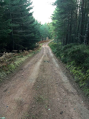 Aboyne games hill run. This is a long climb