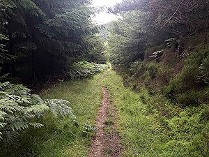 Aboyne games hill run. Can get very muddy