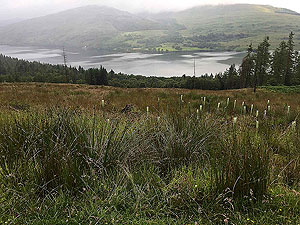 Past The Stank. Rain coming in across the loch