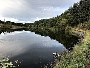 Past The Stank. Image from Past The Stank