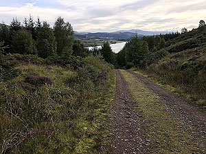 Past The Stank. Back towards the loch
