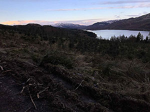 Past The Stank. A winter morning