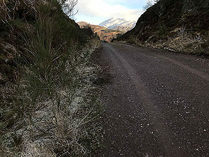 Past The Stank. Ben Ledi in the distance