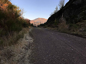 Past The Stank. Image from Past The Stank