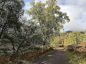 Glen Strathfarrar. 