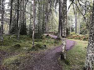 Plodda falls. Nice easy running
