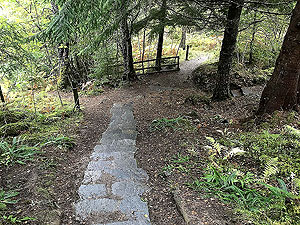 Plodda falls. Careful on the stone steps