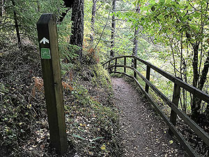 Plodda falls. Path to viewing area