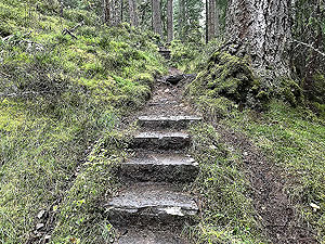 Plodda falls. Image from Plodda falls