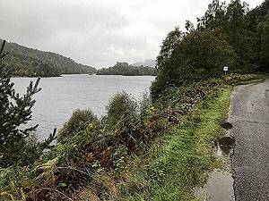 Glen Affric. Image from Glen Affric