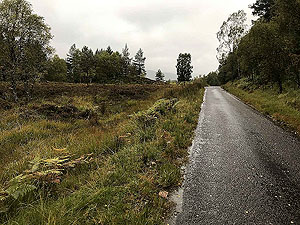 Glen Affric. Away from the loch