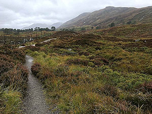 Glen Affric. Looping round the lodge grounds