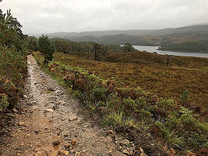 Glen Affric. Image from Glen Affric