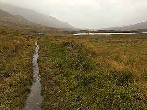 Glen Affric. Image from Glen Affric