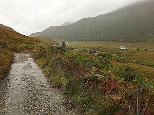 Glen Affric. Towards the bridge