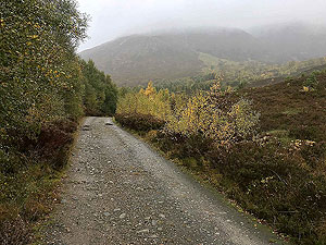 Glen Affric. Image from Glen Affric
