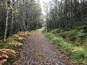 Glen Affric. Half way down Loch Beinn a Mheadhoin