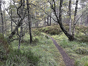Coire an Loch loop. Trail to the loch