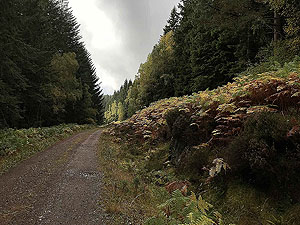 Coire an Loch loop. Lovely colours