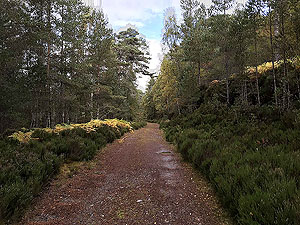 Coire an Loch loop. Heading back