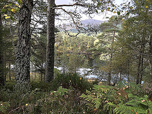 Coire an Loch loop. Image from Coire an Loch loop