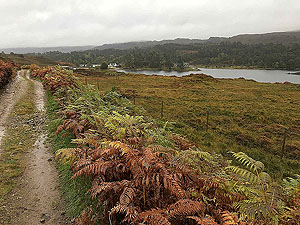 Loch Affric loop. Looking back at Affric lodge