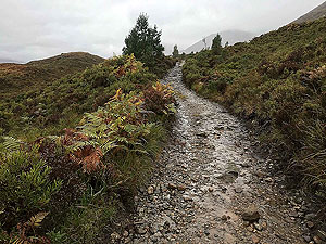 Loch Affric loop.