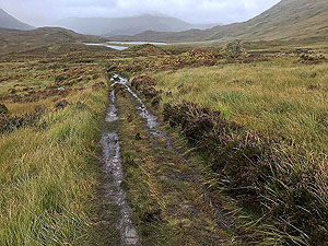 Loch Affric loop. Image from Loch Affric loop