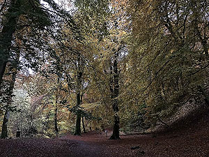 Craig Hill loop. Path down towards the bridge