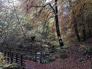 Craig Hill loop. Bridge across the river