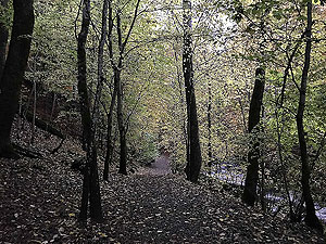 Craig Hill loop. One of the few flat sections
