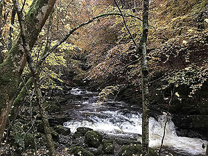 Craig Hill loop. Image from Craig Hill loop