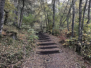 Craig Hill loop. More stairs - there are lots