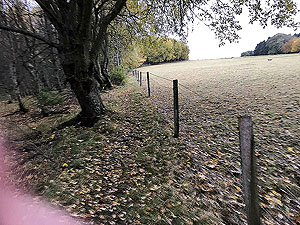 Craig Hill loop. The walkers path can get very slippy