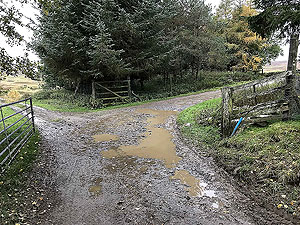 Craig Hill loop. Route takes the right hand road