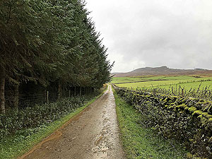 Craig Hill loop. Image from Craig Hill loop