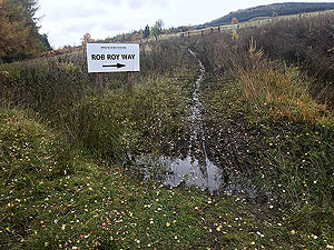 Craig Hill loop. Hope Rob Roy had Gortex trail shoes