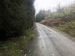 Craig Hill loop. Firmer surface