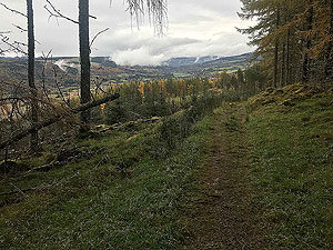 Craig Hill loop. Image from Craig Hill loop