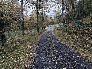 Craig Hill loop. Towards Aberfeldy