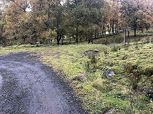 Craig Hill loop. Turn right at this point