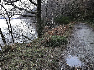 Rowerdennan to Loch Arklet. Early on the route