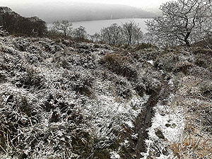 Rowerdennan to Loch Arklet. Gets a wee bit muddy at times