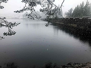 Rowerdennan to Loch Arklet. 576_sm_011.jpg
