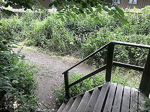 Sheriffmuir loop. Path leading back to the car park follows the uni wall