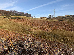 Sheriffmuir loop. Looking up towards Dumyat car park