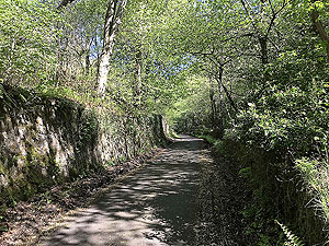 Sheriffmuir loop. This gets the heart rate up